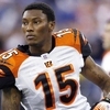 Fan Reaction To Chris Henry's Death